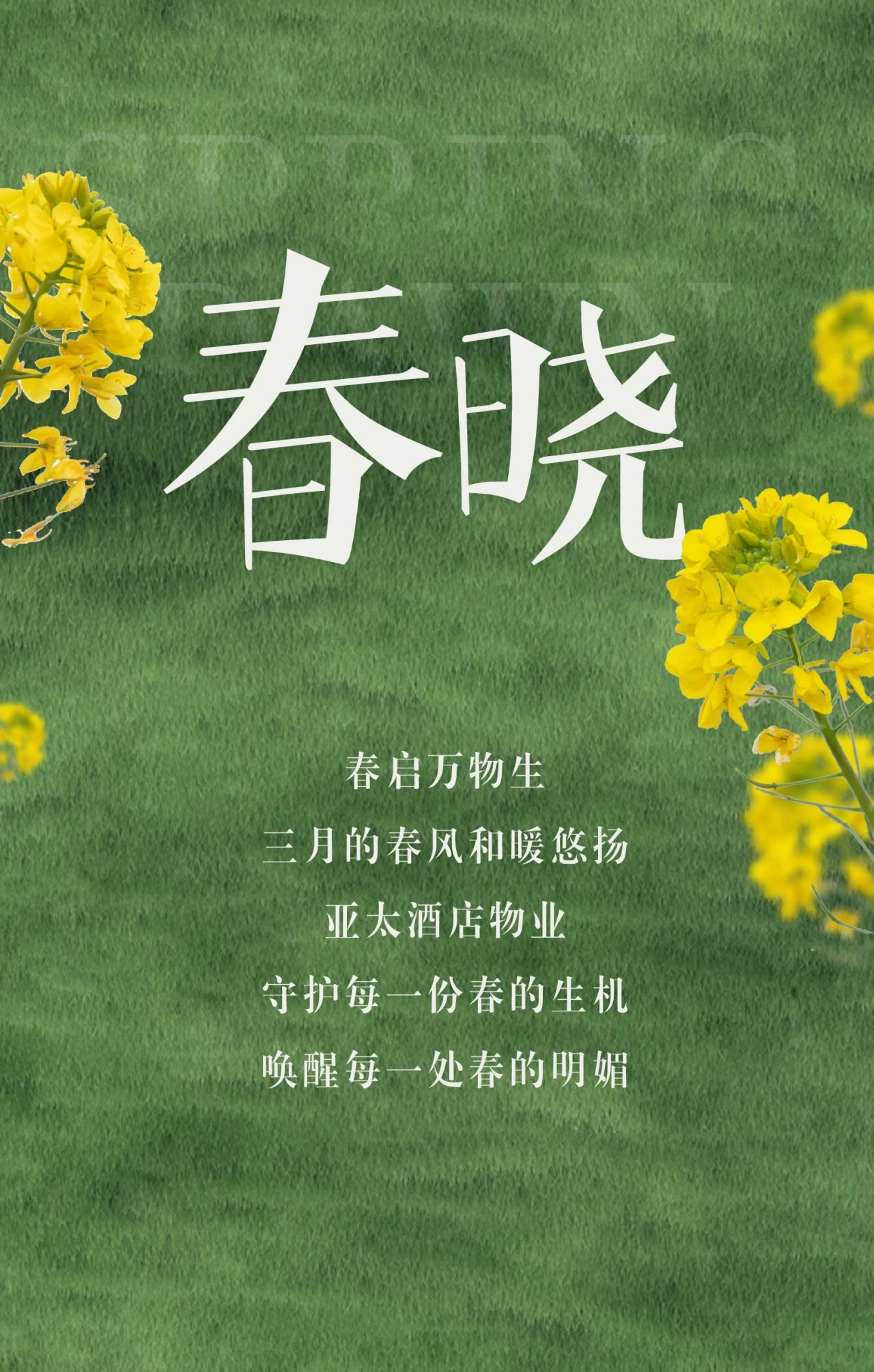 春啟萬物，綻放新生丨亞太酒店物業(yè)